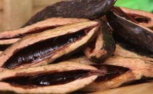 吃槟榔对人体有哪些危害 吃槟榔对人体有哪些危害