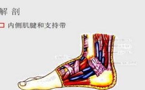 三角韧带损伤表现症状有哪些