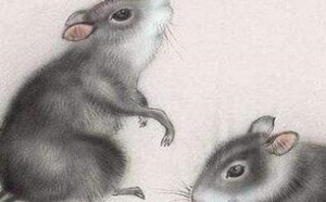 2020年属什么生肖 2020年出生人命运如何 2020年属什么生肖 2020年出生人命运如何