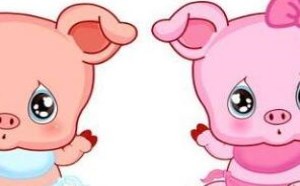 生男孩好还是生女儿好 生男生女的差别