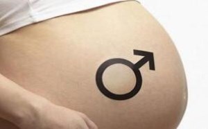 哪个月份怀孕容易生女孩 哪个月份怀孕容易生男孩