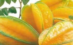 杨桃的功效与作用及副作用