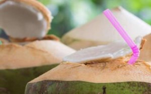 椰子怎么吃及椰子怎么打开