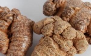 三七与什么搭配吃最好 攻效与作用会加倍