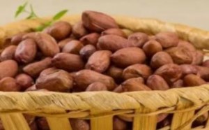 花生的营养价值及功效与作用