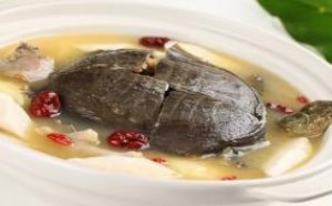 甲鱼汤可以促进卵泡发育吗？甲鱼汤的做法