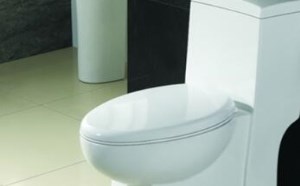 马桶堵了但还缓慢下水怎么疏通