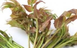 香椿怎么做好吃又简单 香椿煎蛋的做法步骤