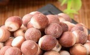 芡实的功效与作用禁忌