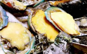 儿童多吃鱼类和贝类更有益健康发育