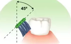 巴氏刷牙的正确方法步骤图解