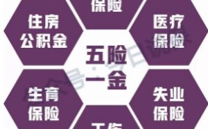 五险一金指什么 缴纳比例是怎么样的
