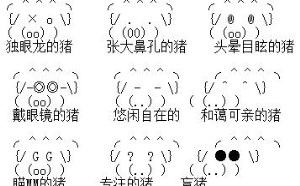 俄罗斯z oo猪的文字表情符号图片